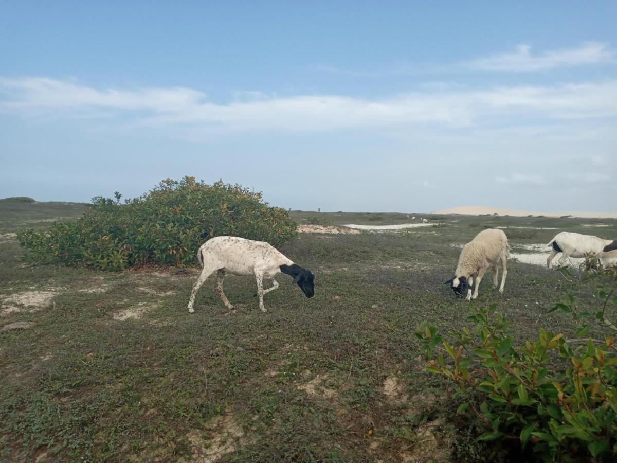 Portadosoljeri Hotel Jijoca de Jericoacoara Ngoại thất bức ảnh