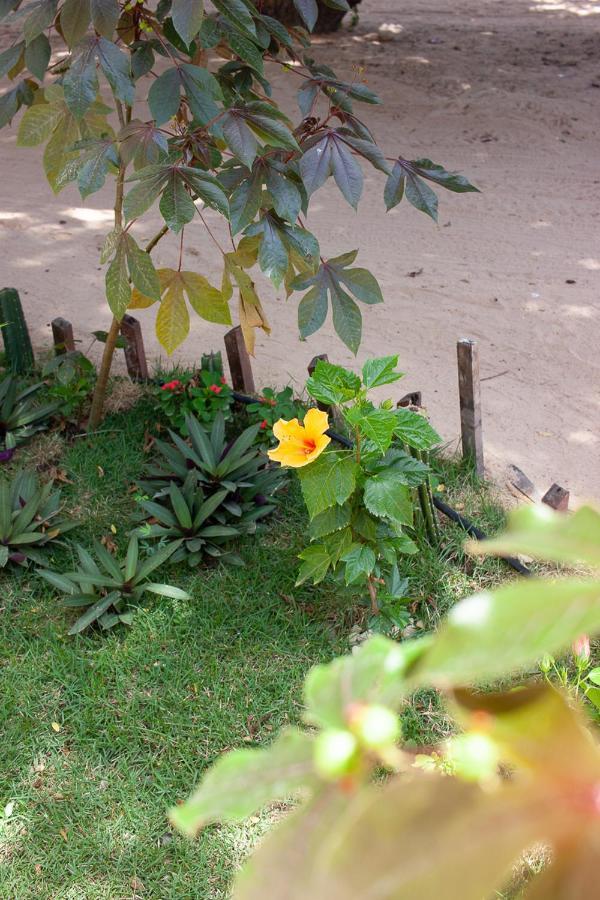Portadosoljeri Hotel Jijoca de Jericoacoara Ngoại thất bức ảnh